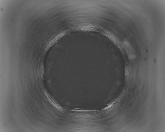 X0000085040397200703121439