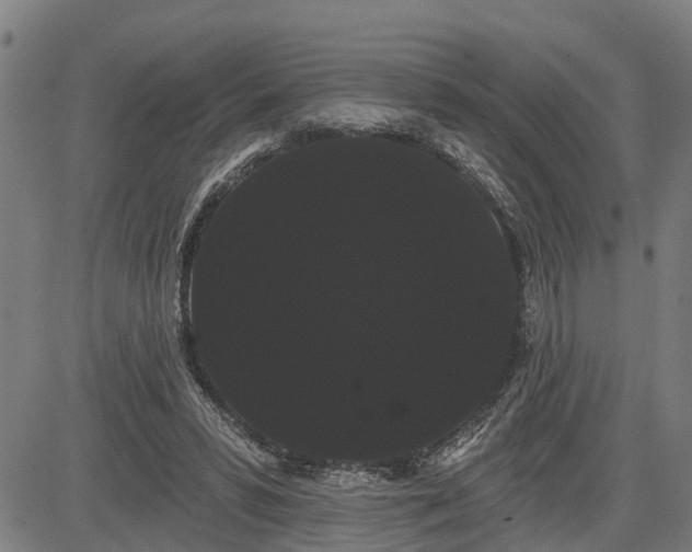 X0000085040399200703121439