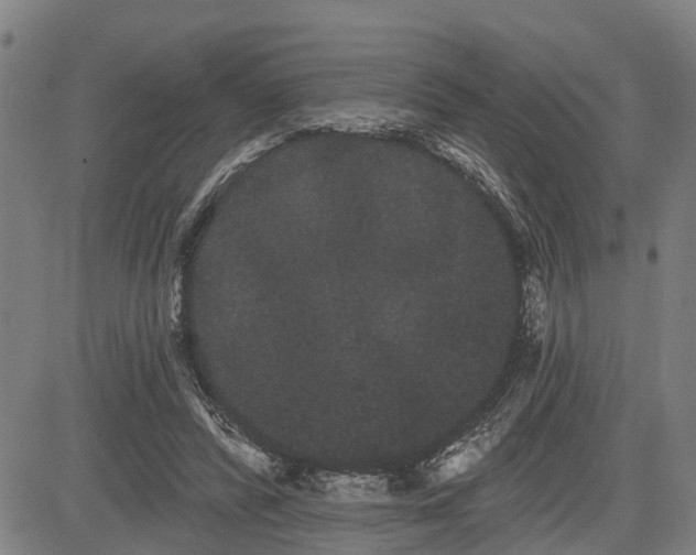 X0000085040400200703121439