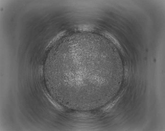 X0000085040401200703121439