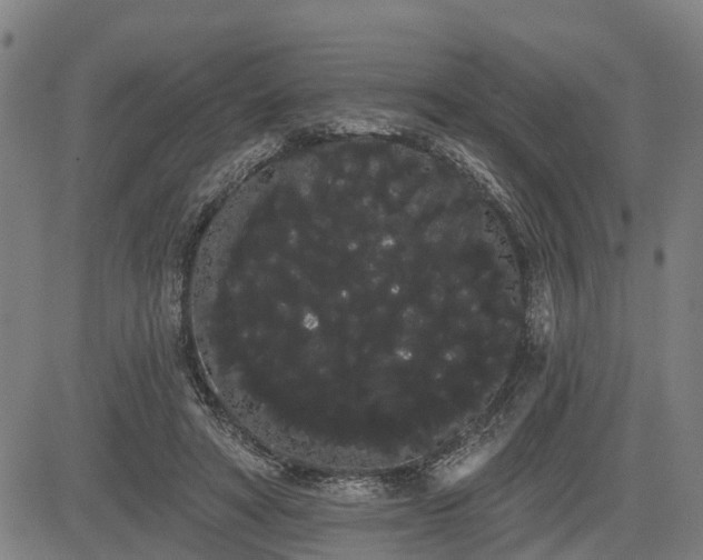 X0000085040402200703121439