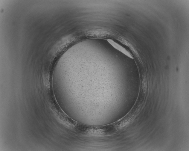 X0000085040403200703121439