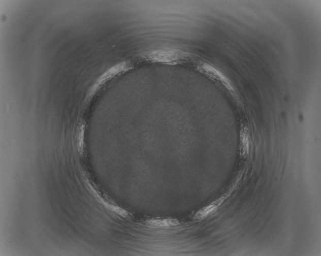 X0000085040404200703121439