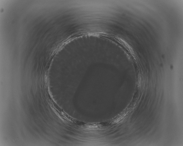 X0000085040405200703121439