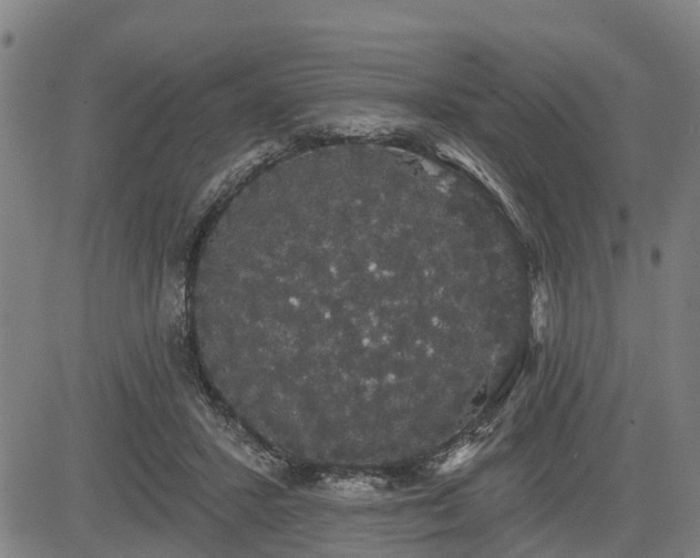 X0000085040407200703121439