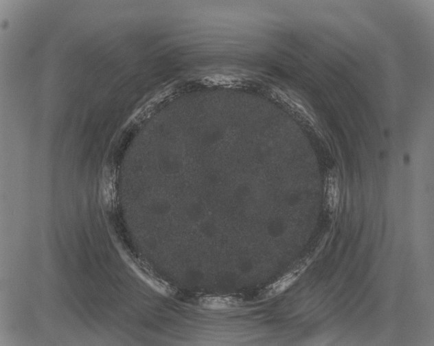 X0000085040408200703121438