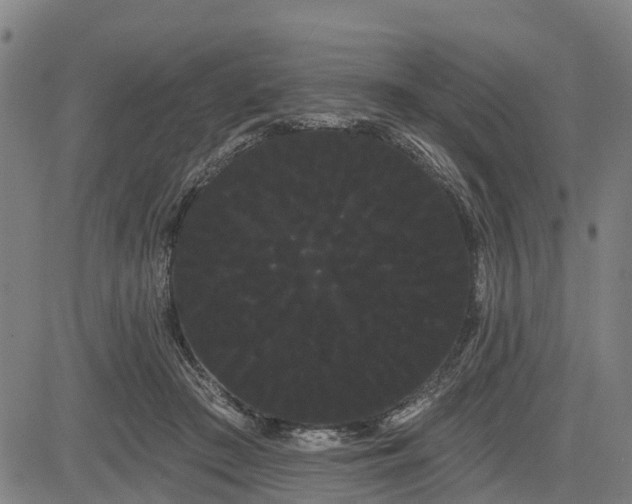 X0000085040409200703121438