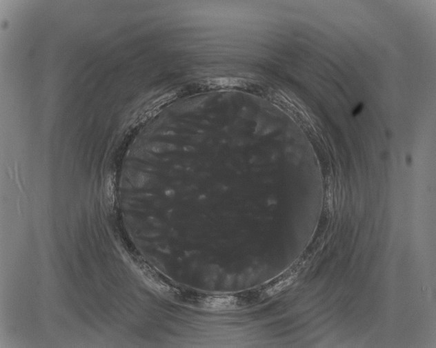 X0000085040410200703121438