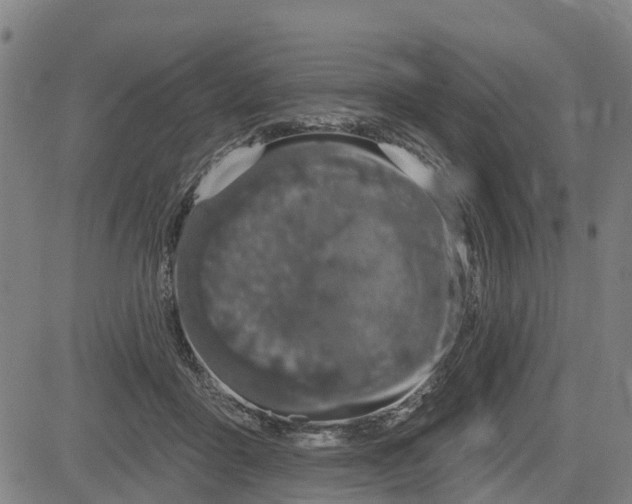 X0000085040411200703121438