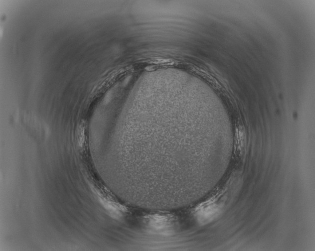 X0000085040412200703121438