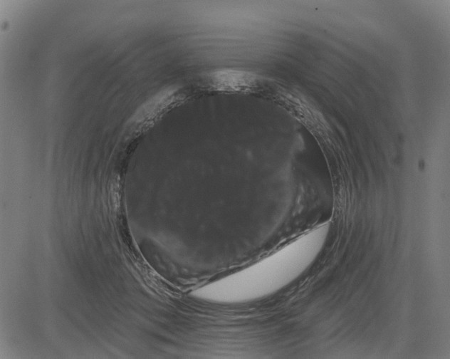 X0000085040413200703121438