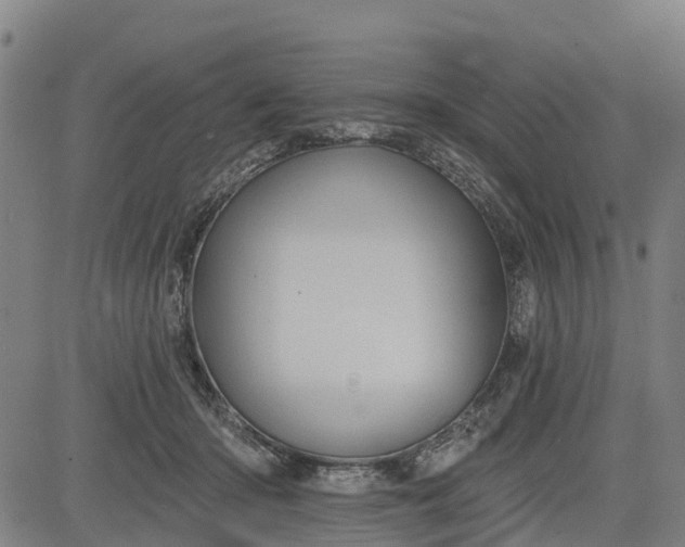 X0000085040414200703121438