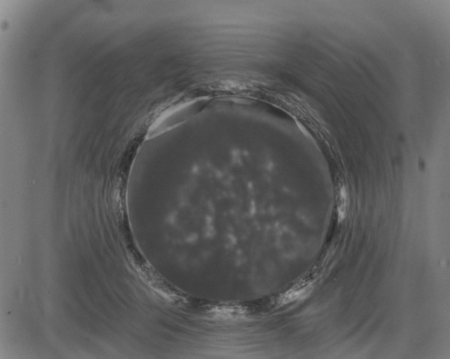 X0000085040415200703121438