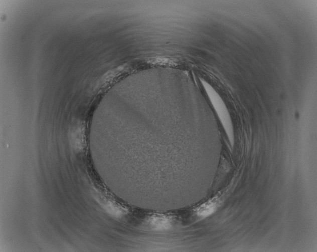 X0000085040416200703121438