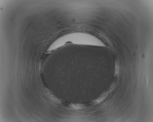 X0000085040417200703121438