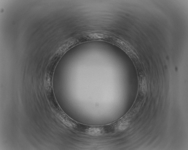 X0000085040418200703121438