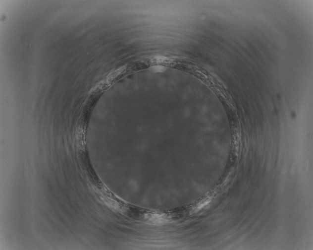 X0000085040419200703121438