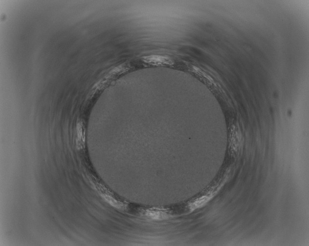 X0000085040420200703121438