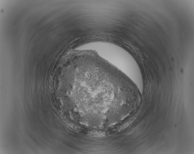 X0000085040421200703121438