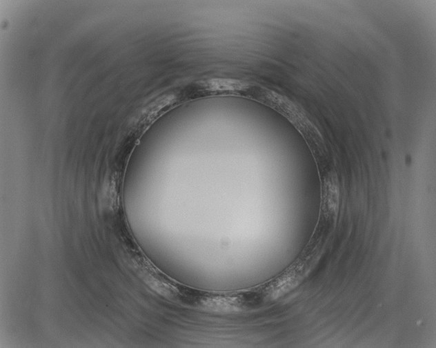 X0000085040422200703121438