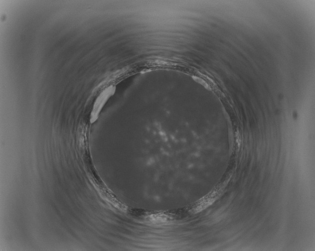 X0000085040423200703121438