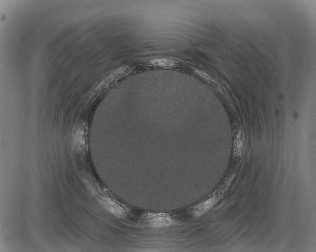 X0000085040424200703121438