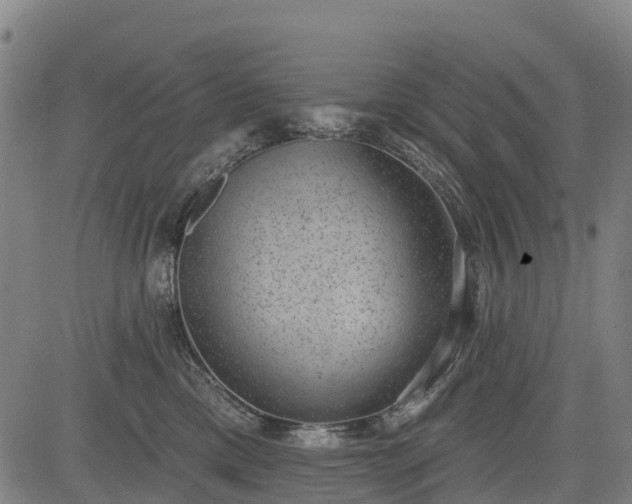 X0000085040425200703121438