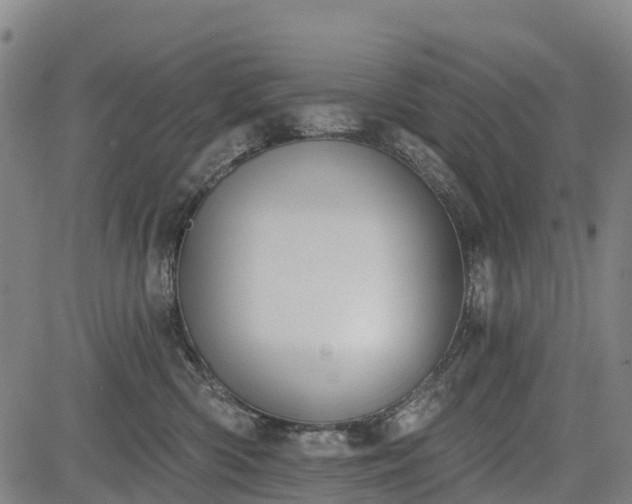 X0000085040426200703121438