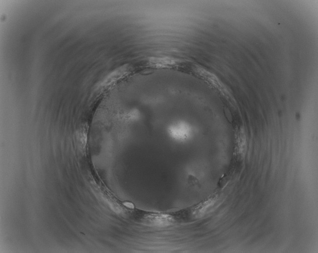 X0000085040427200703121438