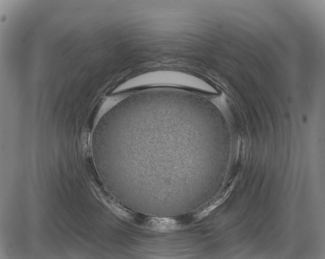 X0000085040429200703121438