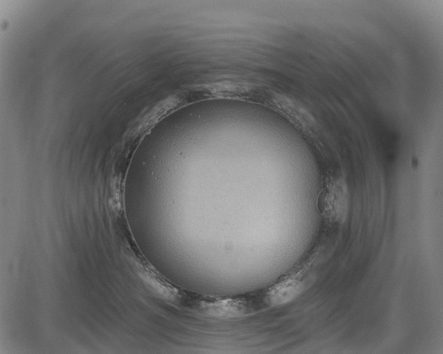 X0000085040430200703121438