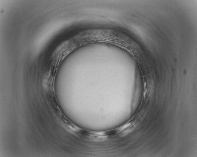 X0000085040431200703121438