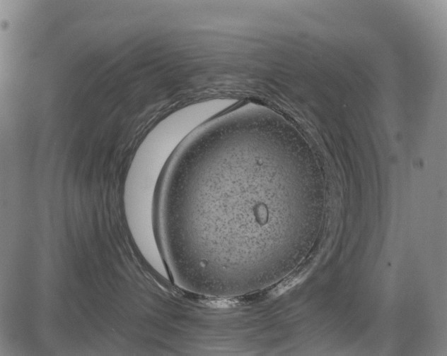 X0000085040432200703121438