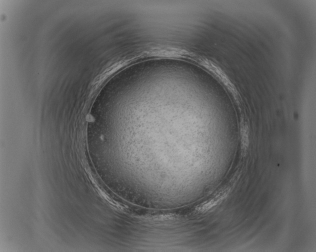 X0000085040433200703121437