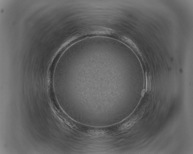 X0000085040435200703121437