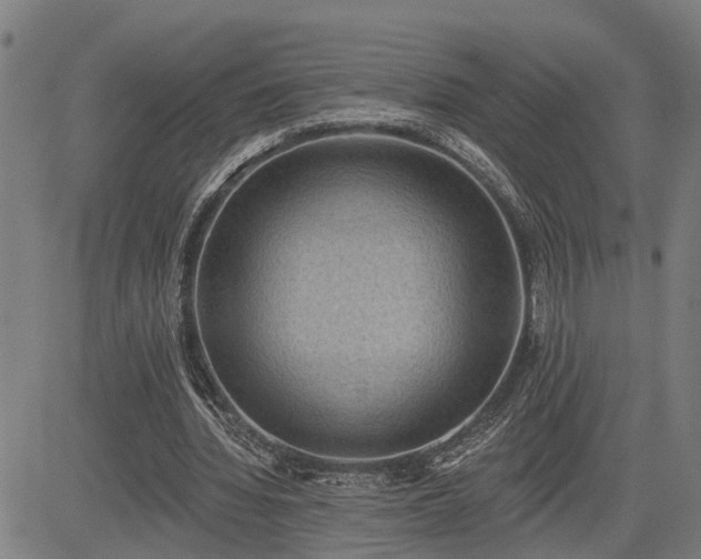 X0000085040436200703121437