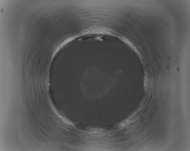 X0000085040438200703121437