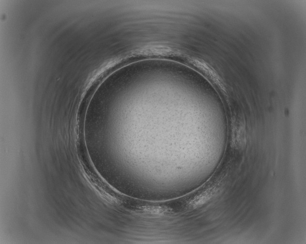 X0000085040439200703121437