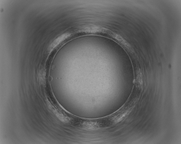 X0000085040440200703121437