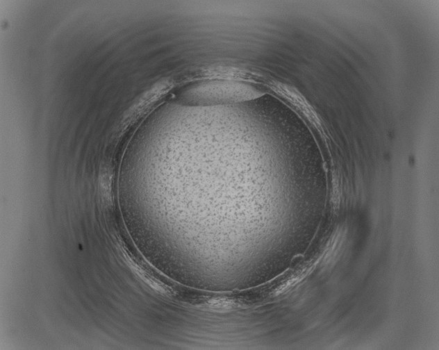 X0000085040441200703121437