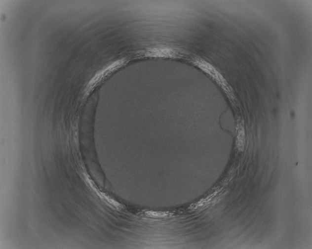 X0000085040442200703121437