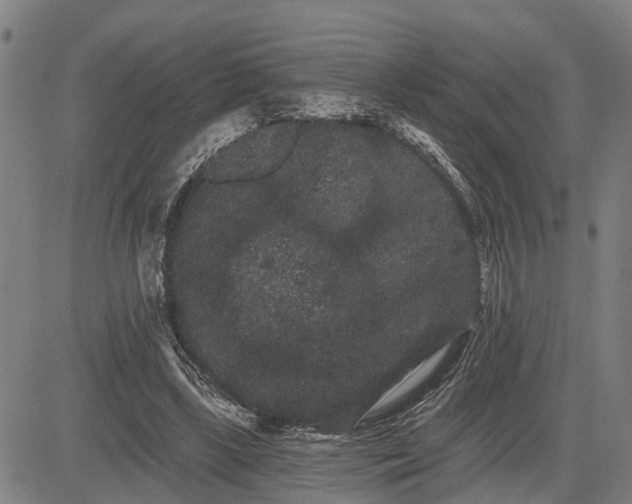 X0000085040443200703121437