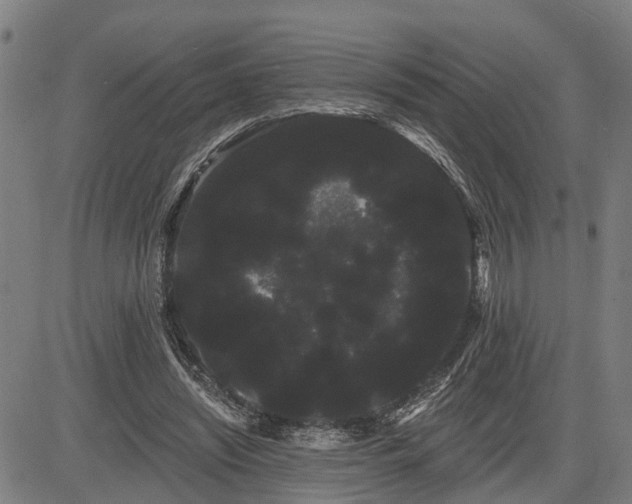 X0000085040444200703121437