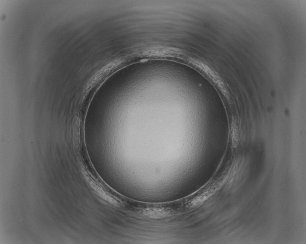 X0000085040445200703121437