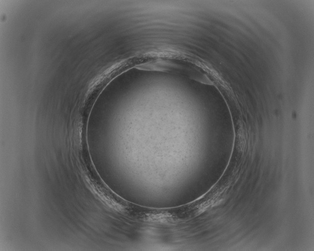 X0000085040446200703121438