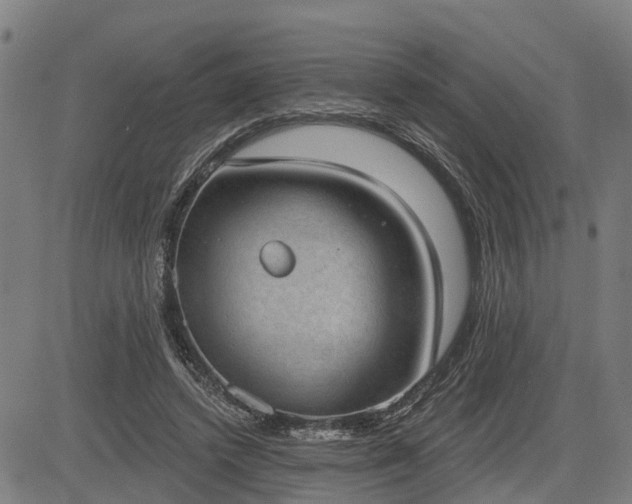 X0000085040448200703121438