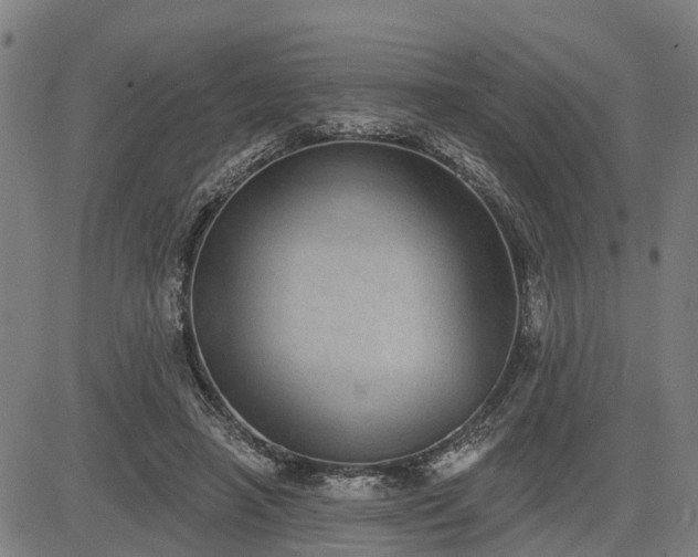 X0000085040450200703121438