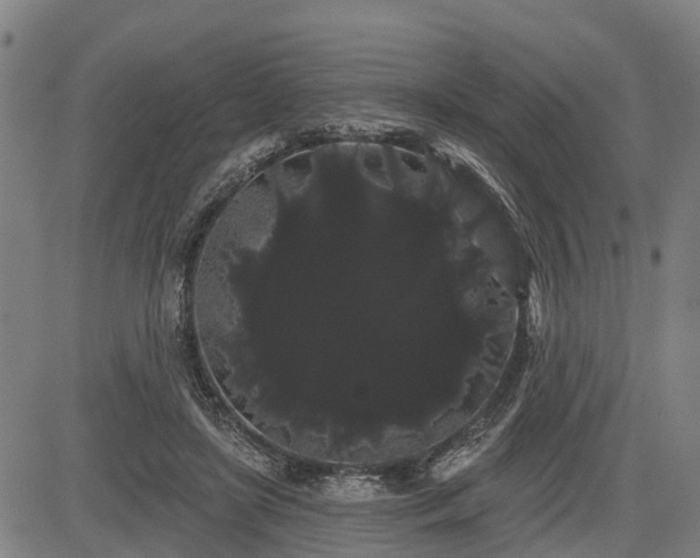 X0000085040451200703121438