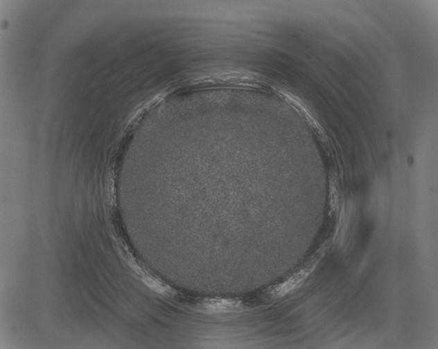 X0000085040453200703121438