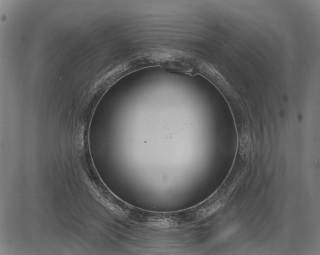 X0000085040454200703121438